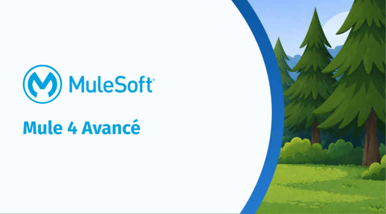 Mule 4 avancé
